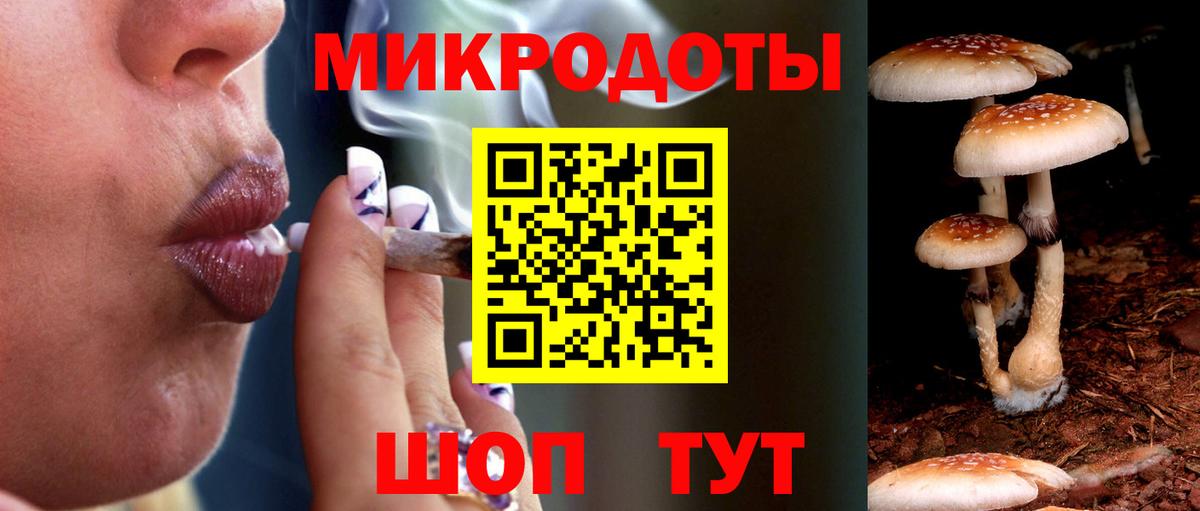 Светлоград  Галлюциногенные грибы Psilocybe  Вход с VPN 