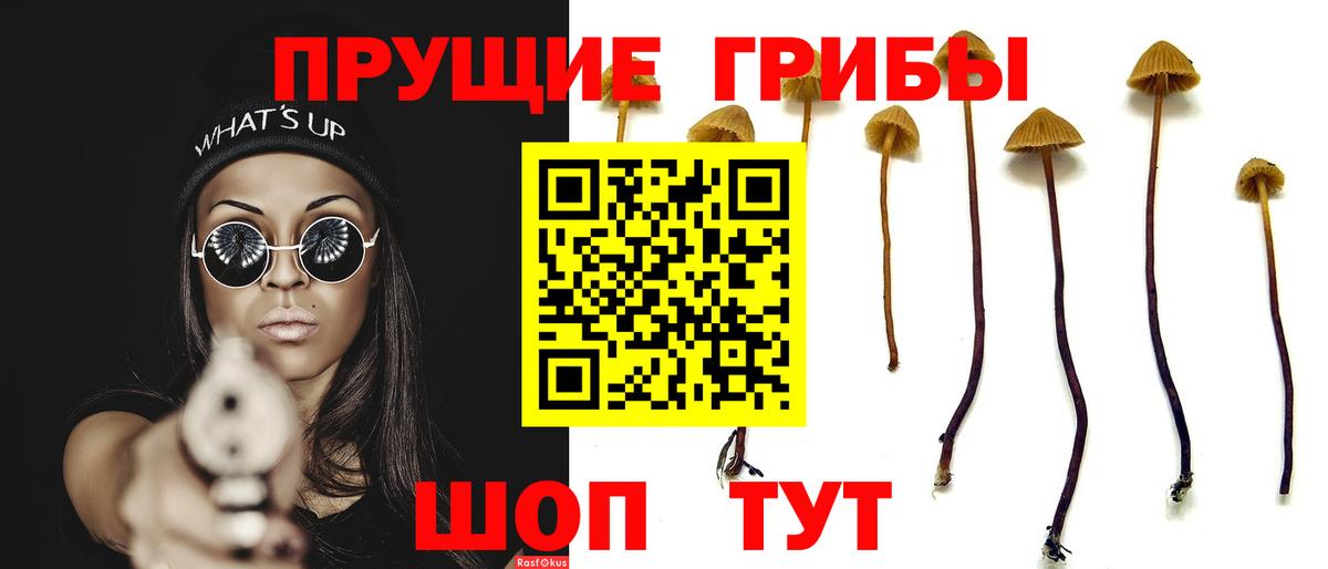 Псилоцибиновые грибы MAGIC MUSHROOMS Светлоград